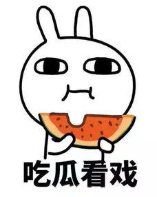 瓜瓜吃瓜主题批评,揭秘娱乐圈背后的真相与反思