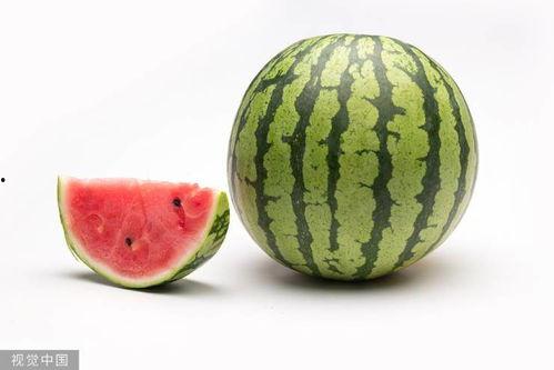 二三里吃瓜视频大赛,全民狂欢，瓜田笑果连连