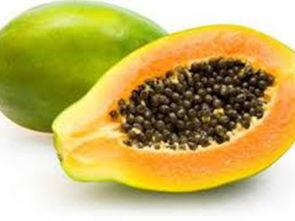 哪些瓜可以吃籽,探索可食用籽的奇妙世界