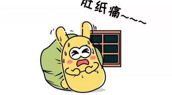 西瓜悠闲吃瓜群众,吃瓜群众的夏日消遣