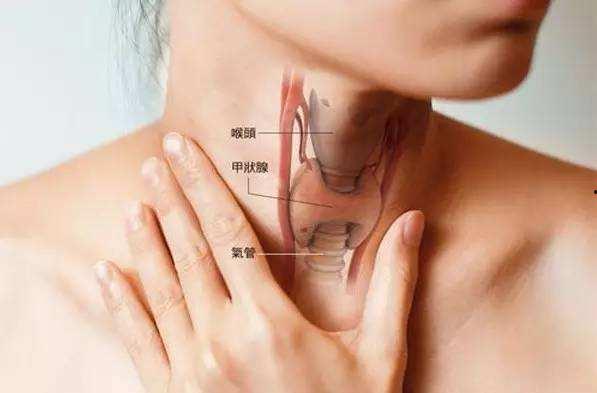 甲亢可以吃白瓜