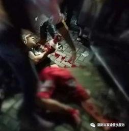 恶性吃瓜事件,恶性吃瓜事件背后的真相与反思