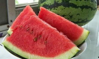 吃瓜大赛作文400字,一场别开生面的吃瓜大赛盛况