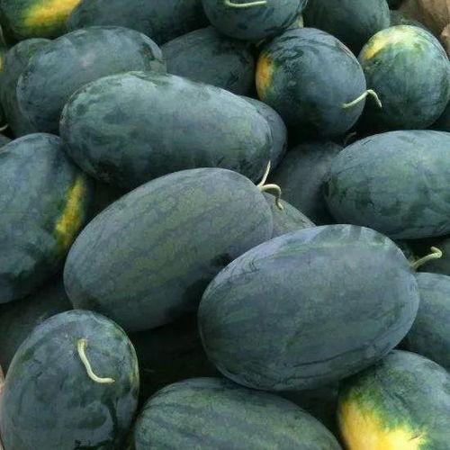 祥云路吃瓜音乐,一场别开生面的街头音乐盛宴