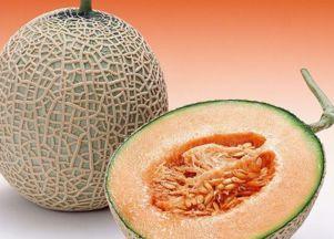 穷人吃哈密瓜视频,穷人的美食故事