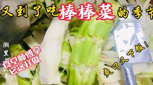 青州老师吃瓜,一场校园风波背后的真相揭秘