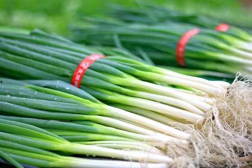 金乡吃大瓜,一场味蕾与视觉的盛宴之旅