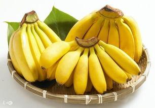 吃瓜学姐香蕉,一场甜蜜的校园生活