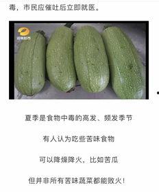 吃小瓜喝凉水,吃小瓜喝凉水，清凉一夏的完美搭配