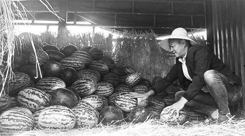 浦北吃瓜群众事件视频