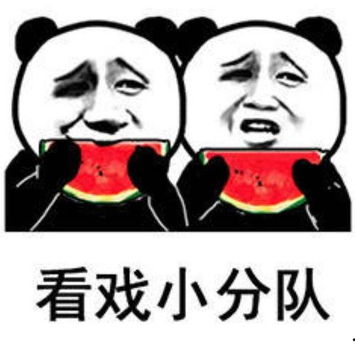 吃瓜看戏表情包图片,揭秘表情包背后的趣味人生