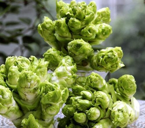 招远蚕庄吃瓜,一场别开生面的吃瓜盛宴