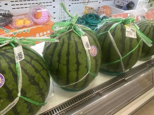 吃瓜站是什么,网络舆论的风向标与娱乐热点追踪