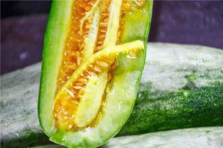 吃瓜的网红,揭秘娱乐圈幕后真相