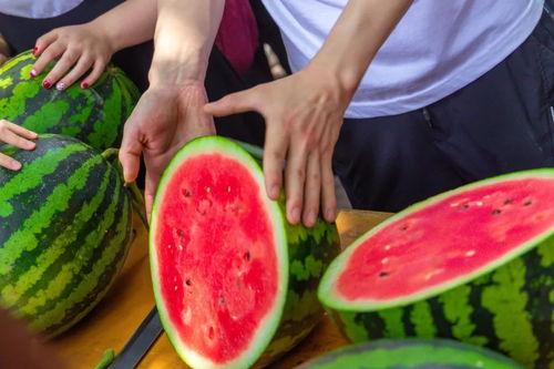 南宁高校吃瓜事件,一场校园舆论的发酵与反思