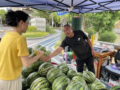 吃瓜新区,繁华背后的人间烟火