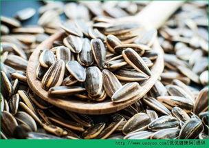 吃瓜吃瓜子,揭秘吃瓜吃瓜子的趣味时光