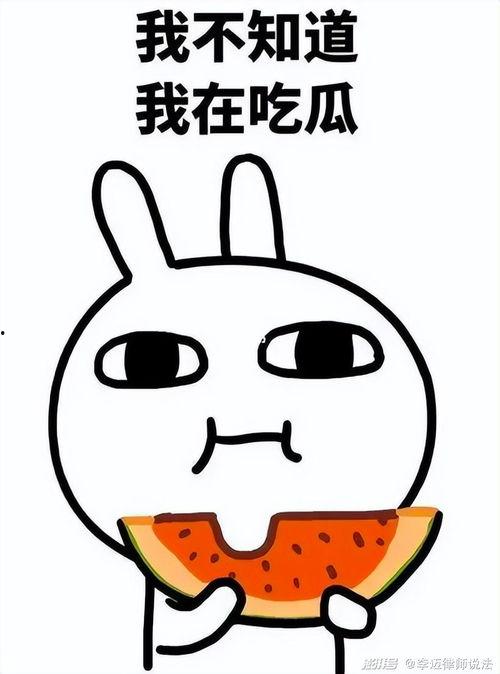 吃瓜小涛,揭秘娱乐圈那些不为人知的幕后故事