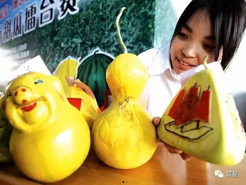 奇葩玩具带你吃瓜,跟随“吃瓜”之旅，探索玩具界的趣味世界