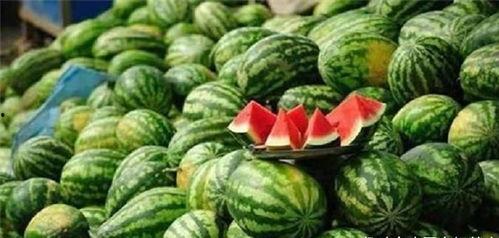 娱情吃瓜菌,揭秘娱乐圈那些不为人知的幕后故事