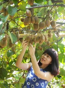 小美带你吃瓜,揭秘娱乐圈那些事儿