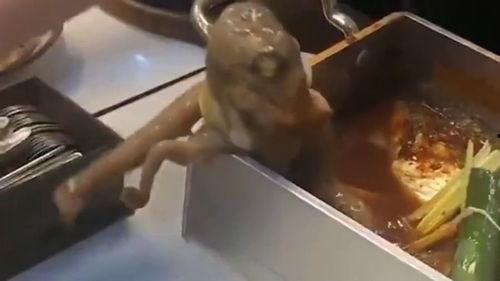 离谱吃瓜活章鱼小说