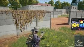 吃瓜金探长,揭秘娱乐圈背后的秘密与真相