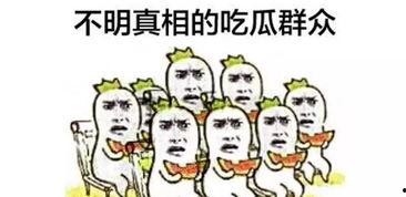 吃瓜群众有点胖,胖瘦之间，探寻生活趣味