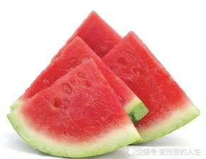 吃瓜小胖妞,揭秘娱乐圈的甜蜜与苦涩