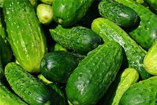 梦见吃瓜鲜花宴