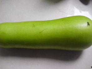 主播吃葫芦瓜,趣味横生引网友热议