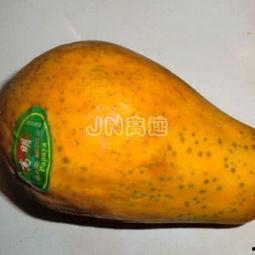 吃瓜的橙子头像,揭秘吃瓜界的“橙子传奇”