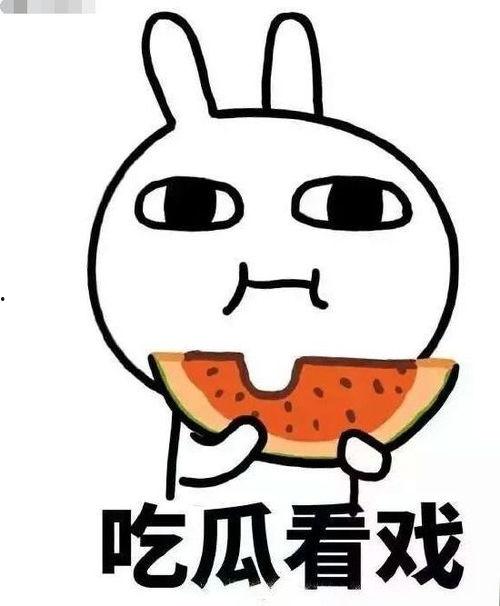 凌酱的吃瓜日记,揭秘娱乐圈幕后故事