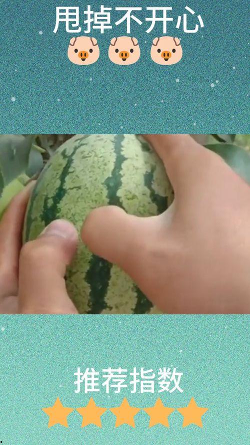 狗头瓜去皮吃吗,美味与营养的双重享受