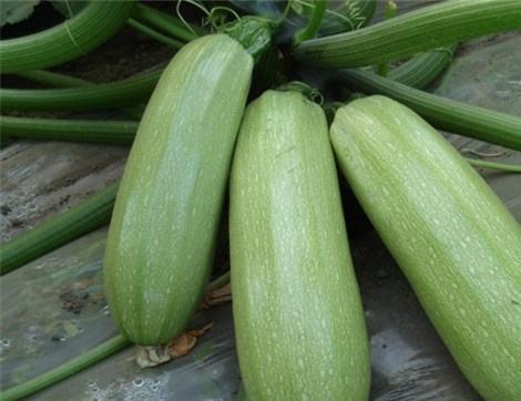 西姐吃瓜,揭秘娱乐圈那些不为人知的幕后故事