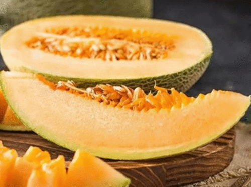 瓜州现在有什么瓜吃