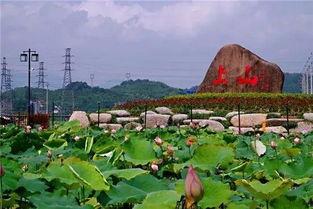 富阳银湖吃瓜,畅享清凉夏日时光