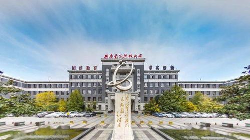 西安电子科技大学吃瓜,校园吃瓜风云录